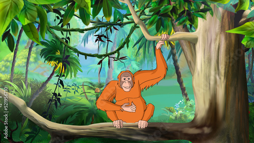 Photography Orangutan on a tree in the rainforest