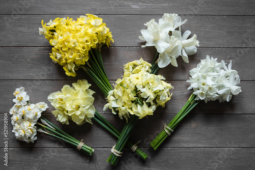 Studio shot of various daffodils tied into bouquets photo