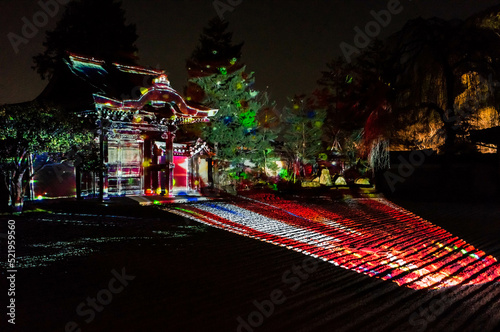 京都 高台寺を彩る斬新なプロジェクションマッピング © ryo96c