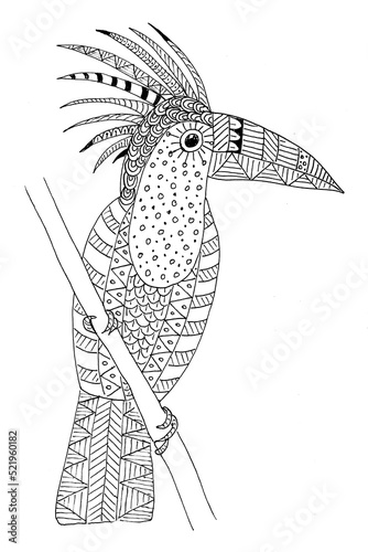 Black and white linear drawing of a toucan bird with an ornament. Isolated on white background.