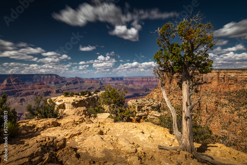 Grand Canyon National Park