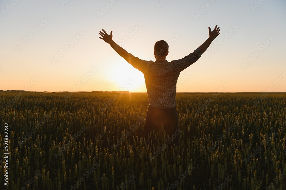 Farmer in wheat field planning harvest activity, female agronomist looking at sunset on the horizon. Farmer in wheat field planning harvest activity, female agronomist looking at sunset on the horizon.