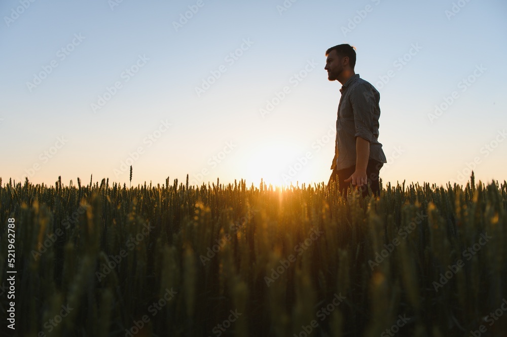 silhouette of man looking at beautiful landscape in a field at sunset. silhouette of man looking at beautiful landscape in a field at sunset.