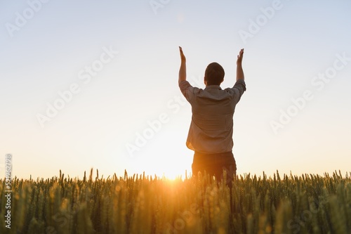 Fototapeta Naklejka Na Ścianę i Meble -  Sunrise or sunset picture of guy with raised hands looking at sun and enjoying daytime. Adult man stand alone in middle of ripe wheat field. Farmer or egricultural guy