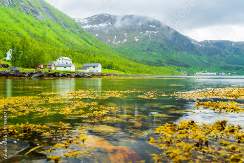 Norway, Troms og Finnmark, Bergsfjord, Scenic coastline of Bergsfjorden photo