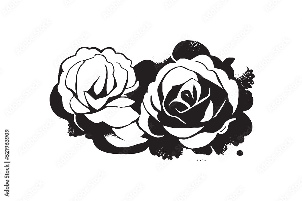 Obraz premium Beautiful Rose Illustration Black and White