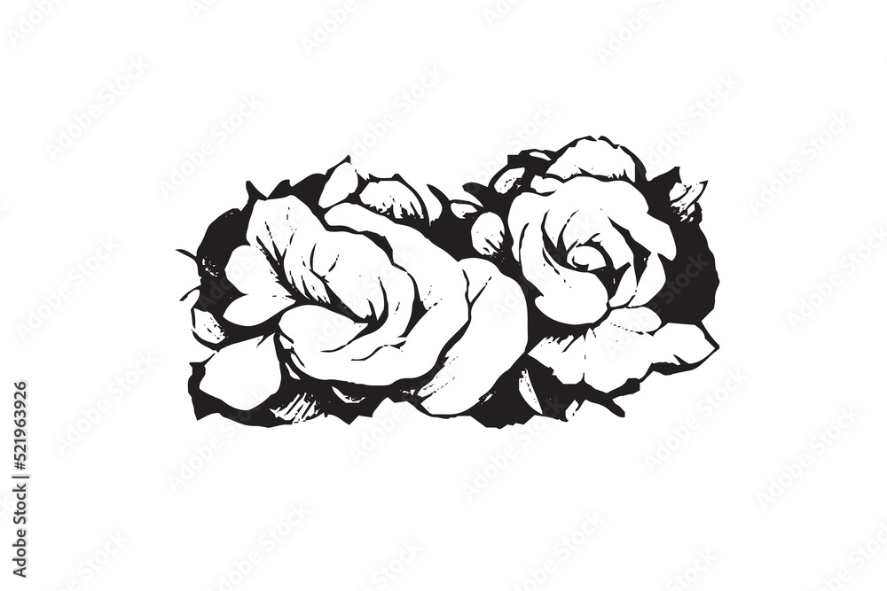 Beautiful Rose Illustration Black and White Beautiful Rose Illustration Black and White