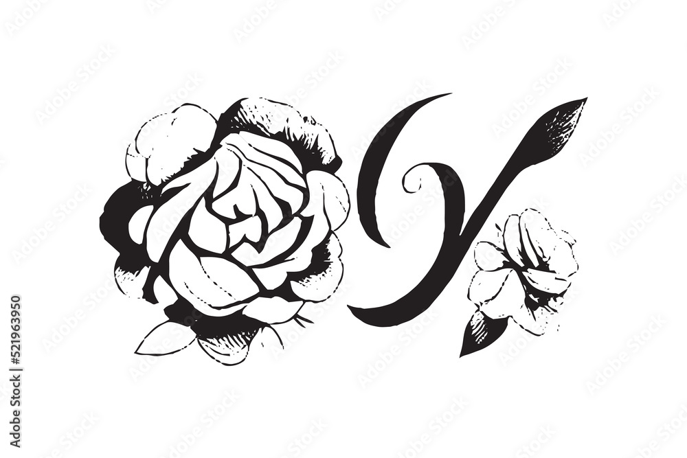 Beautiful Rose Illustration Black and White Beautiful Rose Illustration Black and White
