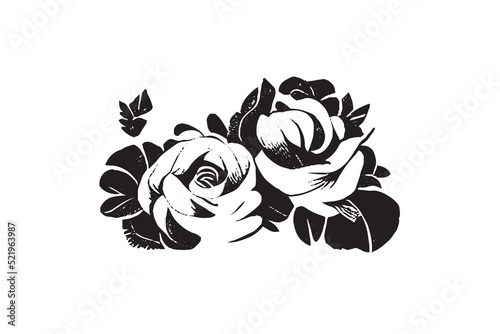 Wallpaper Mural Beautiful Rose Illustration Black and White Torontodigital.ca