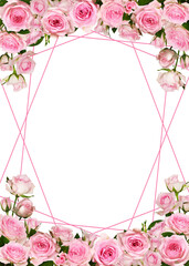 Pink rose flowers in a borders arrangement with geometric frame isolated on white