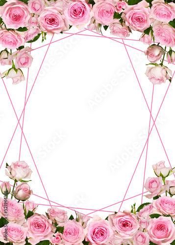 Pink rose flowers in a bord...