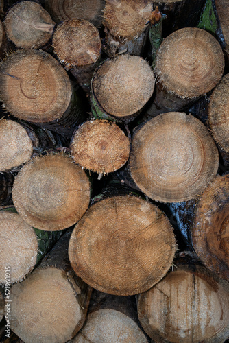 Close up of tree trunks stacked on top of each other 