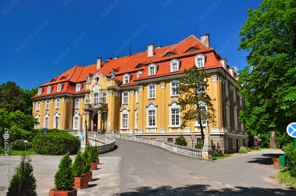 Ludwik Karol von Ballestrem`s Palace. Kochcice, Silesian Voivodeship, Poland - obrazy, fototapety, plakaty 