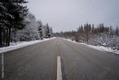 Road in countryside between snowy trees in winter 