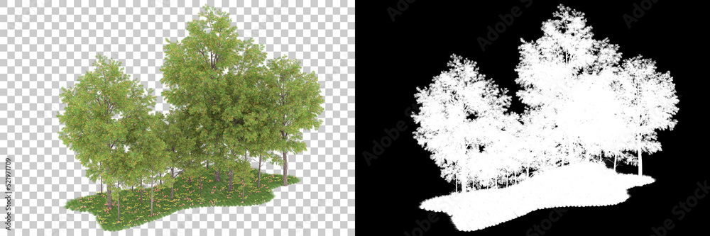 Obraz premium Forest isolated on background with mask. 3d rendering - illustration
