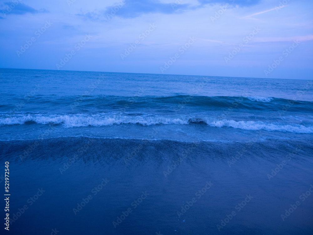 Obraz premium OLYMPUS DIGITAL CAMERA