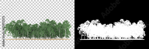 Forest isolated on background with mask. 3d rendering - illustration photo