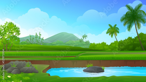 Rice field Terraces with fish pond, mountain and blue sky vector illustration