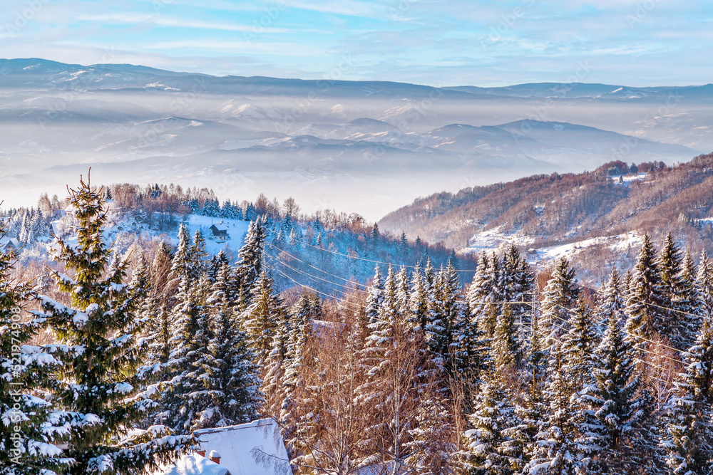 aerial winter mountain panorama, snow trees aerial winter mountain panorama, snow trees