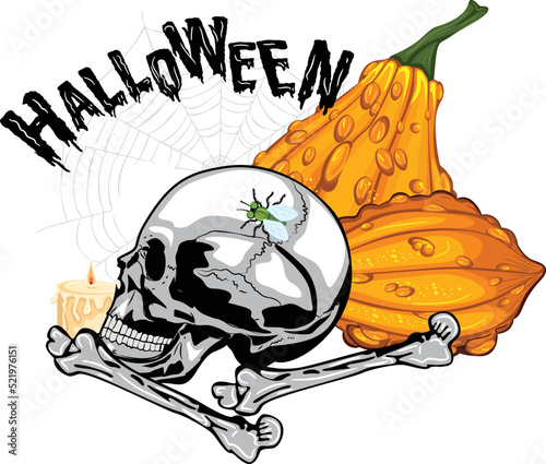 halloween composition with skull pumpkins candle cobweb scary