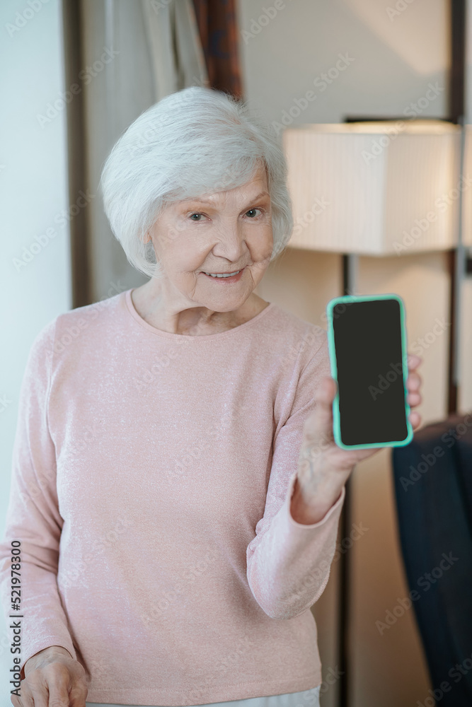 Gray-haired senior woman with a smartphone in hands Gray-haired senior woman with a smartphone in hands