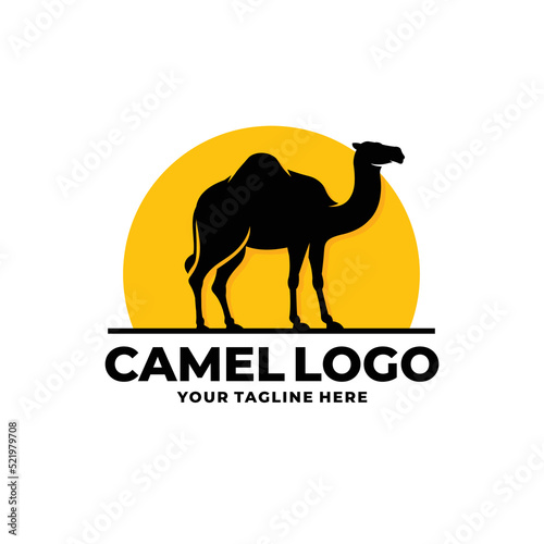 Camel logo design vector illustration