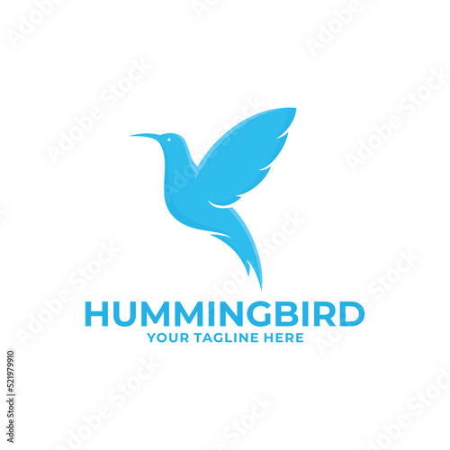 Hummingbird logo design vector. Bird logo
