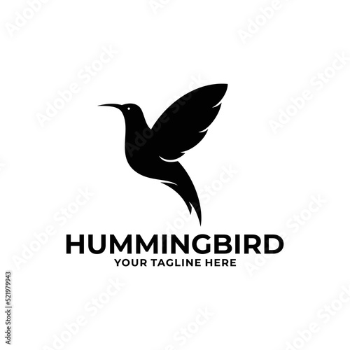 Hummingbird logo design vector. Bird logo