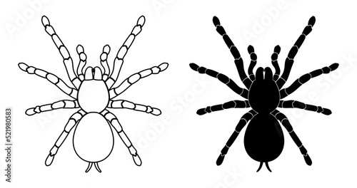 spider, tarantula silhoutte vector