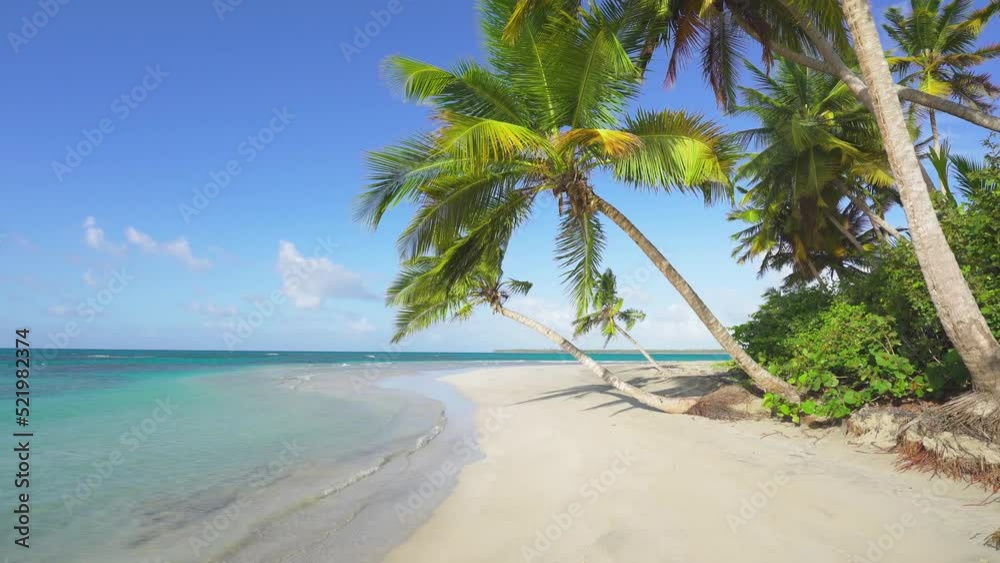 Landscape of the coast of a green island in the Atlantic Ocean. Azure Caribbean Sea and palm-fringed white sand beach. Journey to a tropical paradise. Camera movement. Landscape of the coast of a green island in the Atlantic Ocean. Azure Caribbean Sea and palm-fringed white sand beach. Journey to a tropical paradise. Camera movement.