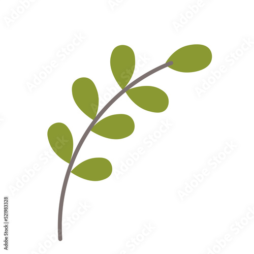 Minimalistic green branch. Green branch with leaves vector illustration isolated on white background. Abstract flat style. © Tana