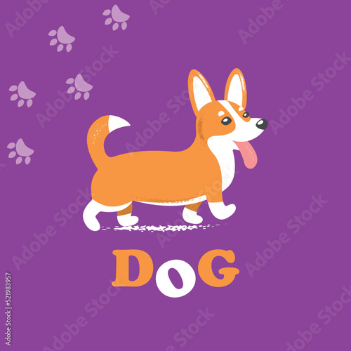 Cute vector corgi dog walks on bright background © annagraphics19
