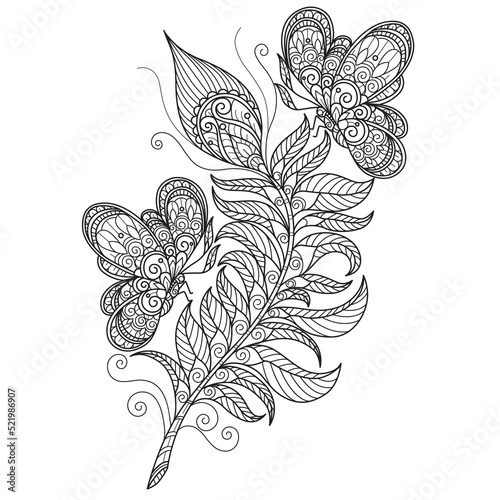 Butterfly and feathers  Hand drawn sketch illustration for adult coloring book