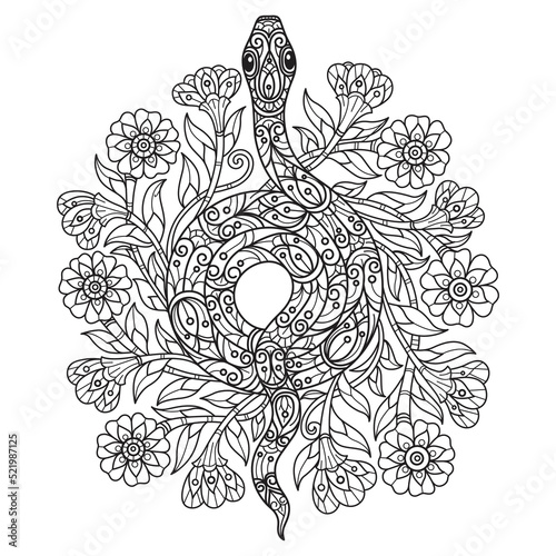  Snake and flowers. Hand drawn sketch illustration for adult coloring book