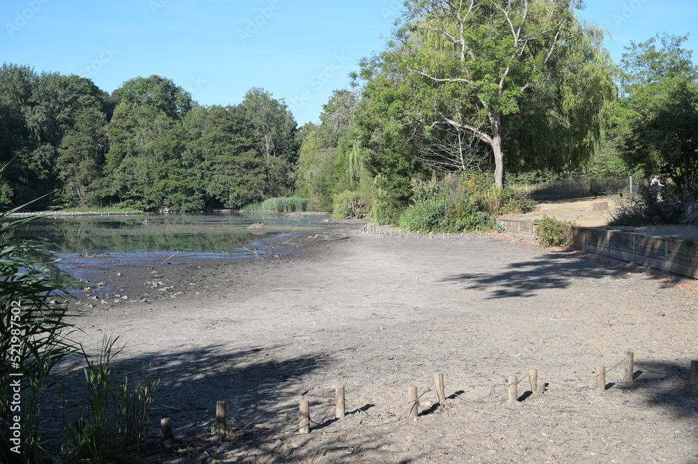 The effects of drought on a Pond in Reigate, Surrey during the hot summer of 2022. The effects of drought on a Pond in Reigate, Surrey during the hot summer of 2022.