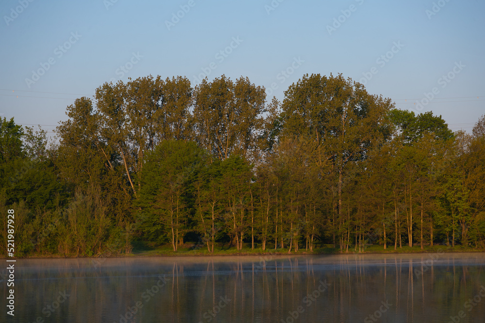 Ufer des Ümminger Sees