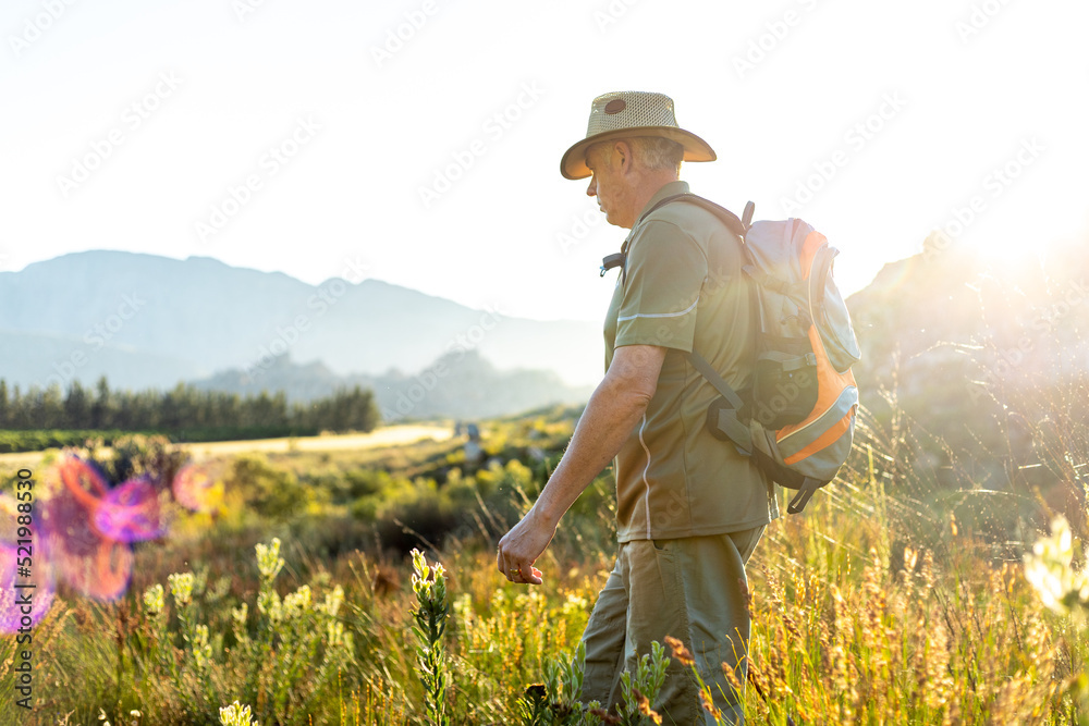 Male hiker walking amidst plants on landscape