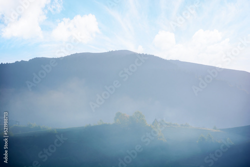 misty atmosphere in mountains. trees on the hill in morning light. beautiful nature background in early autumn season. bright sky with clouds above the ridge © Pellinni