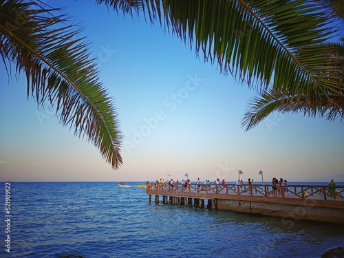 beach with palm trees