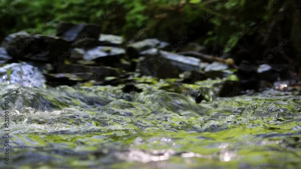 Calm floating creek through idyllic green forest scenery with little waves and stones in the calm river shows relaxing hiking tourism with clear water and a wonderful healthy environment motion brook Calm floating creek through idyllic green forest scenery with little waves and stones in the calm river shows relaxing hiking tourism with clear water and a wonderful healthy environment motion brook
