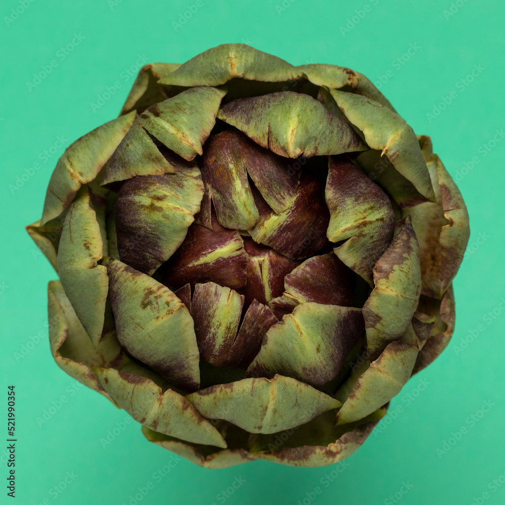 Big fresh artichoke on green background. Top view. Big fresh artichoke on green background. Top view.