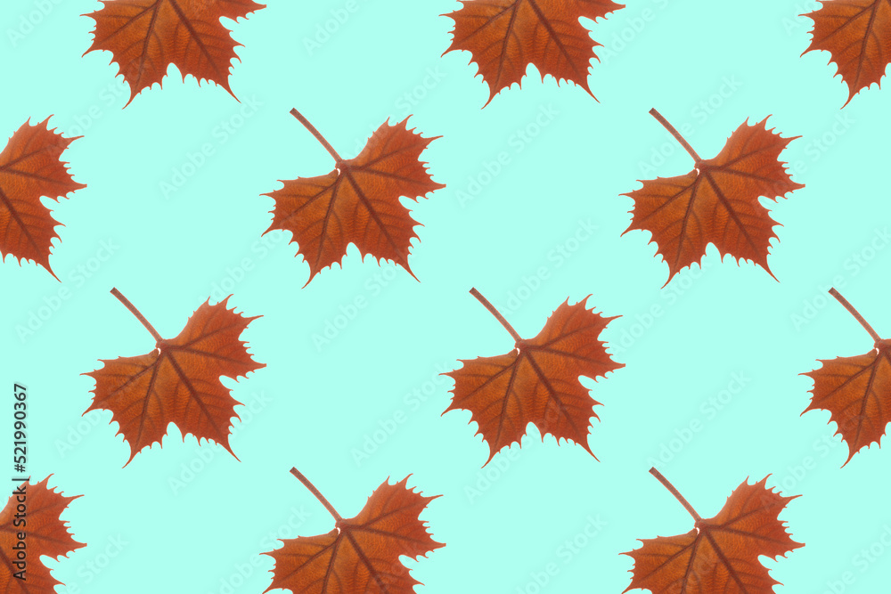 Fototapeta premium Orange maple autumn leaves on a blue background. Seamless repeating pattern.