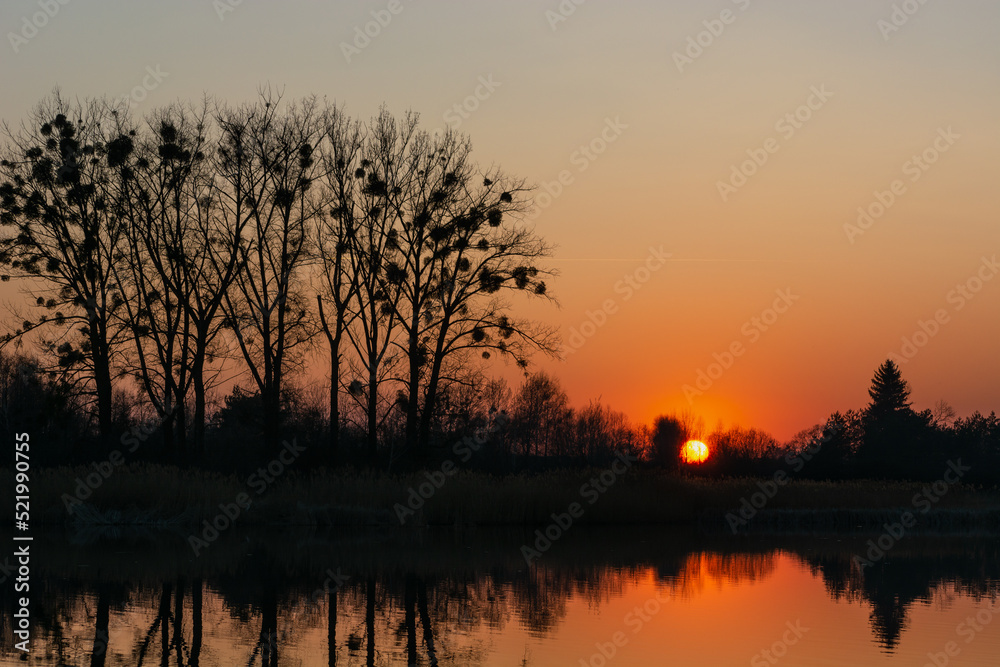 Atmospheric sunset behind trees and reflection in water