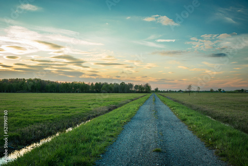 A gravel road through meadows and a forest on the horizon