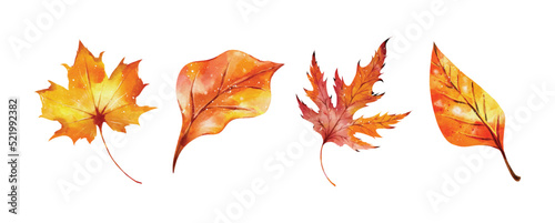 Watercolor of autumn leaves vector design collection