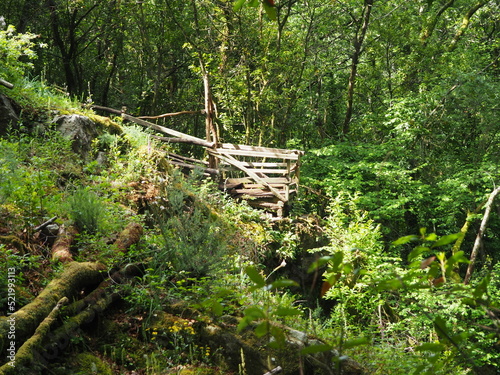 peque  o mirador de madera sobre el rio pambre  en la ruta de senderismo de las gandaras  mezonzo  la coru  a  galicia  espa  a  europa