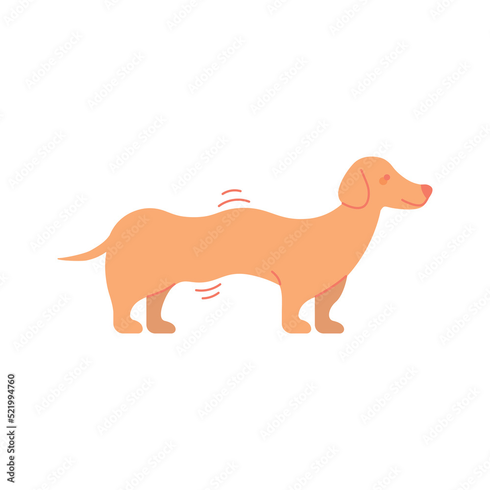 Doodle Wavy Dachshund. Vector Cartoon illustration on white background.