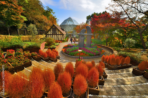神戸布引ハーブ園の紅葉と秋の風景