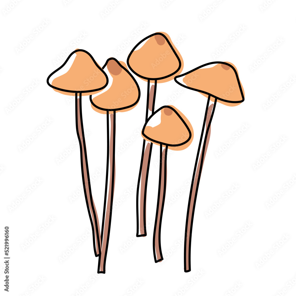 Pholiotina smithii mushrooms. Isolated on white background. Poisonous forest mushroom. Hand drawn doodle. Line art with splashes of color added. Pastel colors. Vector illustration. Pholiotina smithii mushrooms. Isolated on white background. Poisonous forest mushroom. Hand drawn doodle. Line art with splashes of color added. Pastel colors. Vector illustration.