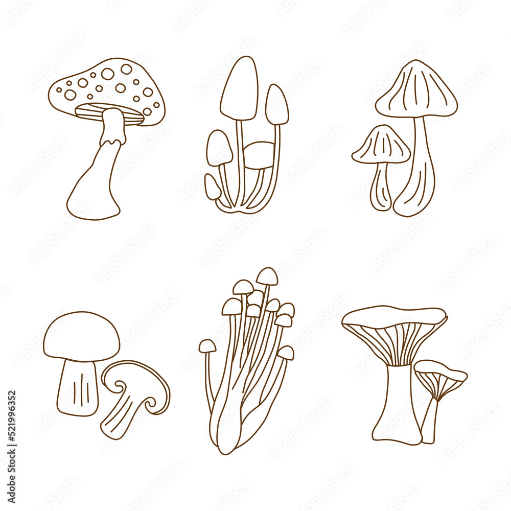 Mushroom doodle set. various Mushrooms hand drawn sketch. Champignon, chanterelle and shiitake. Mushroom doodle set. various Mushrooms hand drawn sketch. Champignon, chanterelle and shiitake.